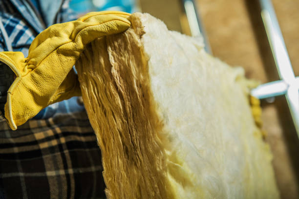 Best Insulation Installation Services in Holly Springs, MS
