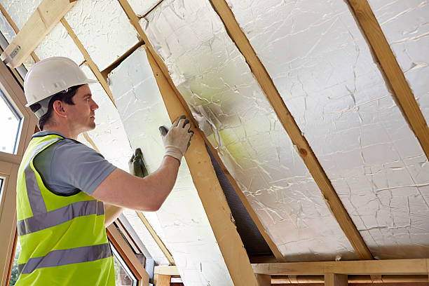 Best Types of Insulation in Holly Springs, MS